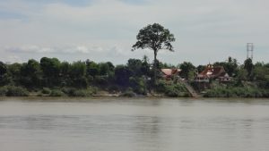 DSC03509
